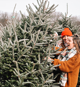 Women picking up Christmas Tree